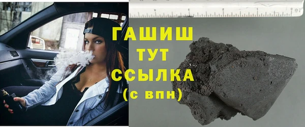 индика Алзамай