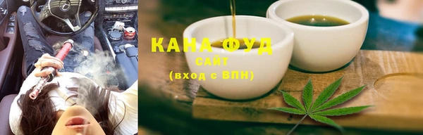индика Алзамай