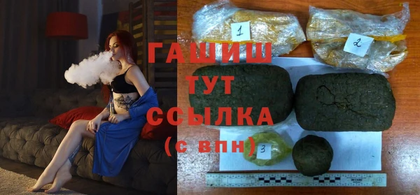 индика Алзамай