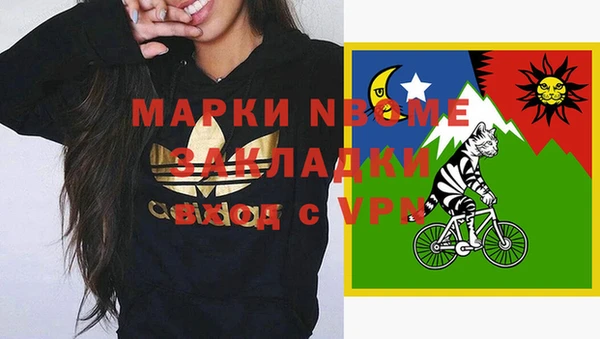 индика Алзамай